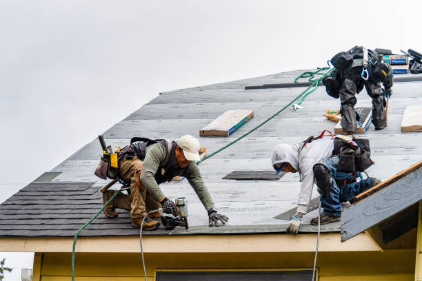 Professional Roofing technician working in Paris, MI